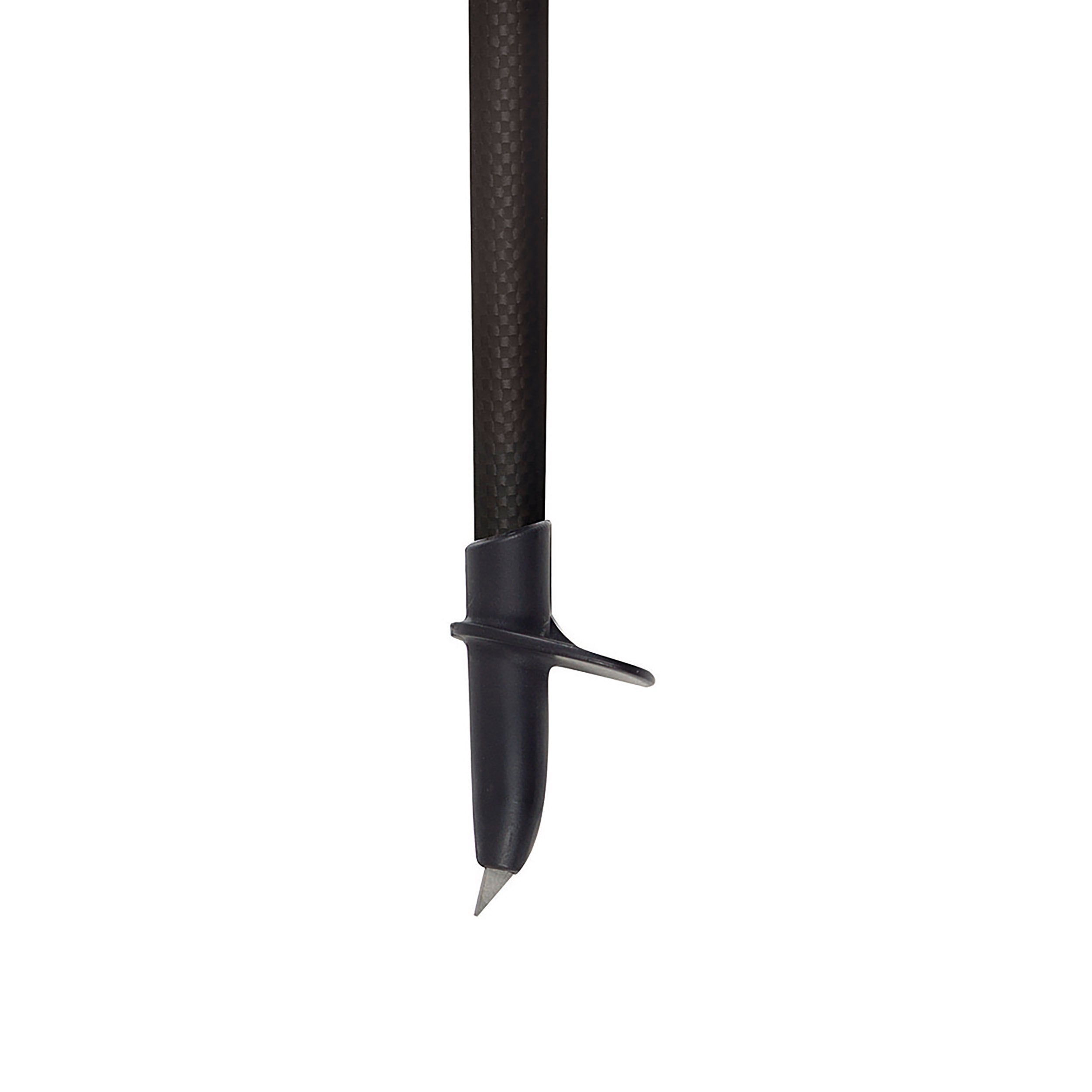 PHYSIQUE 0.8 Carbon
