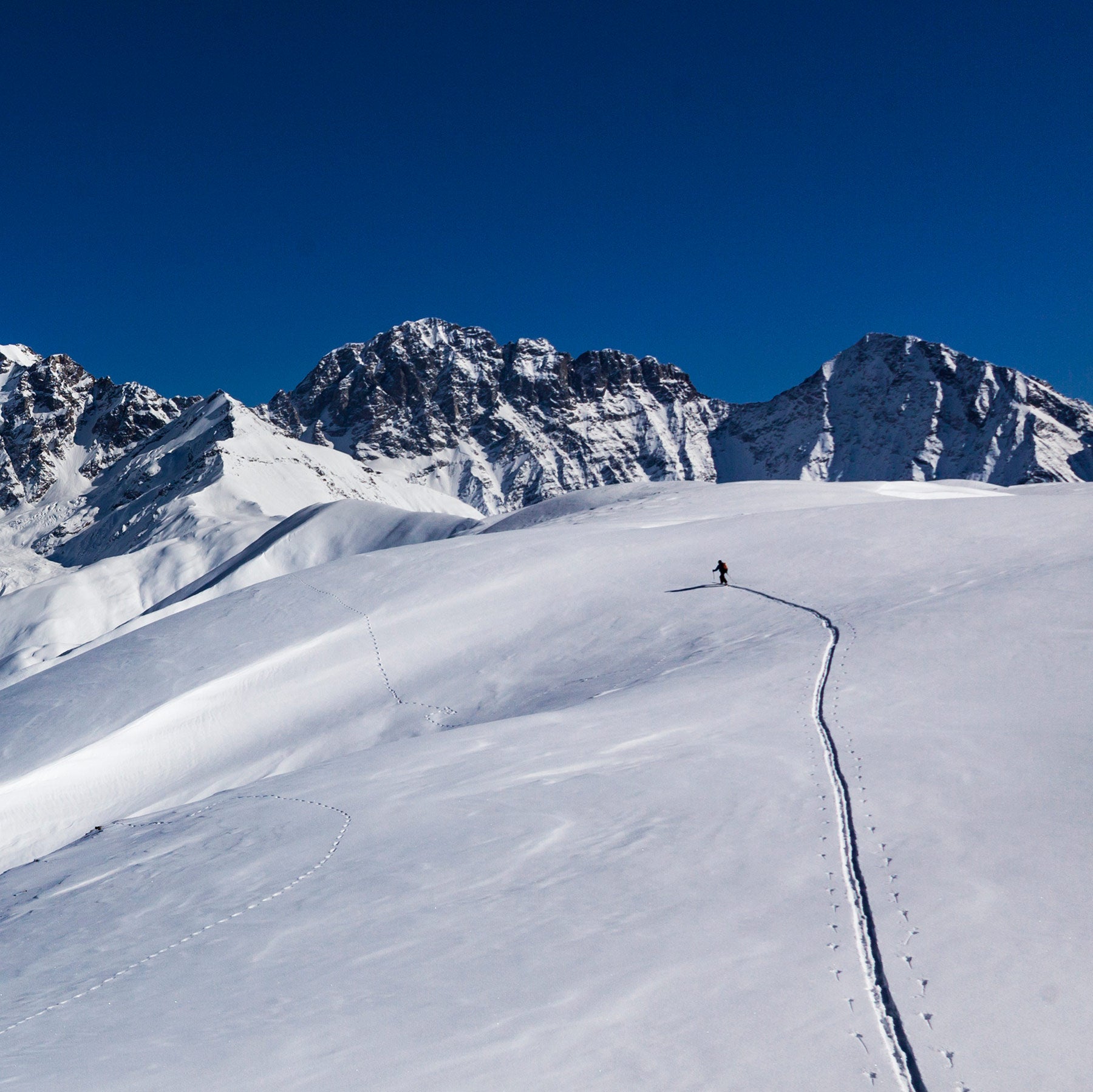 SKITOUR PRO