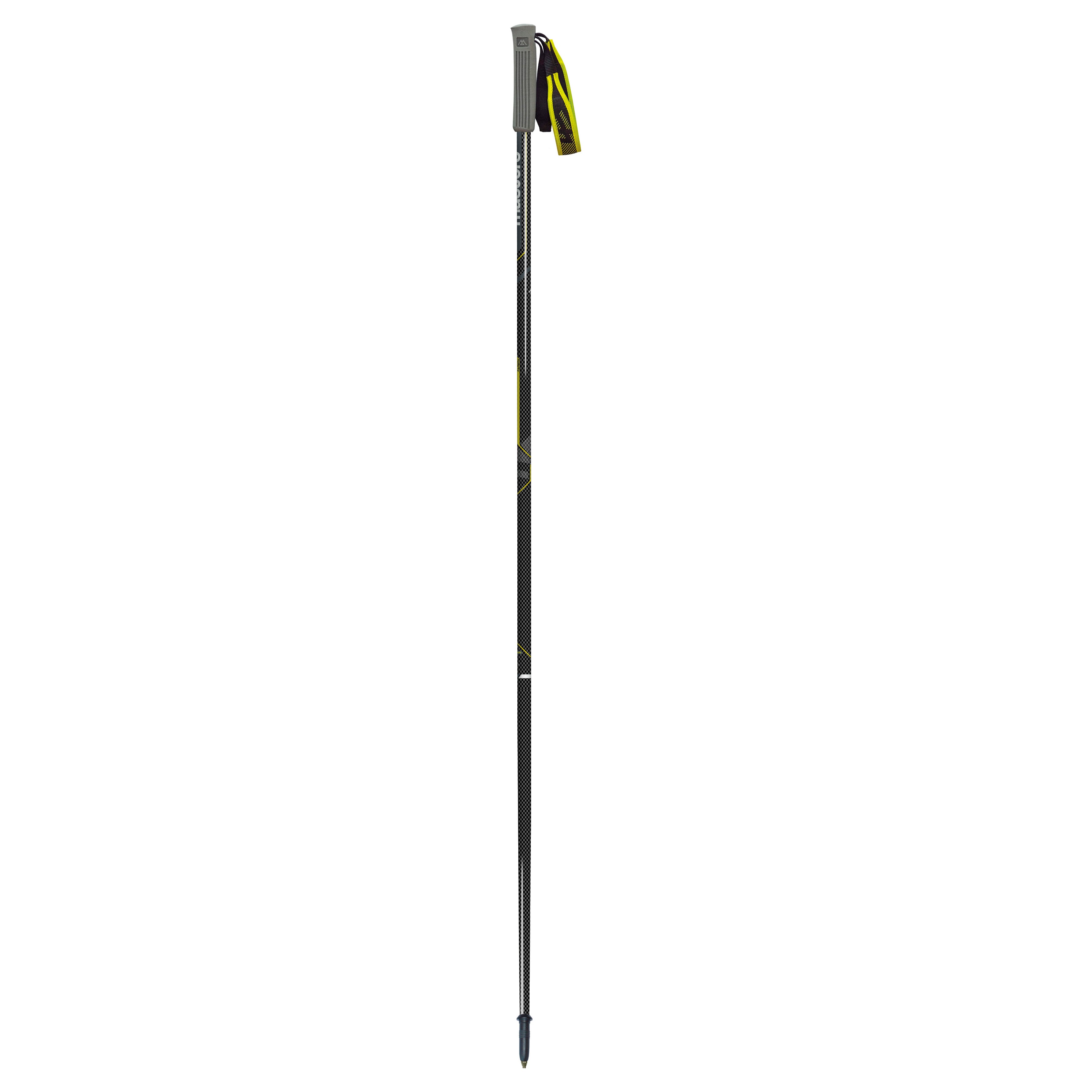 SASSOLUNGO Carbon